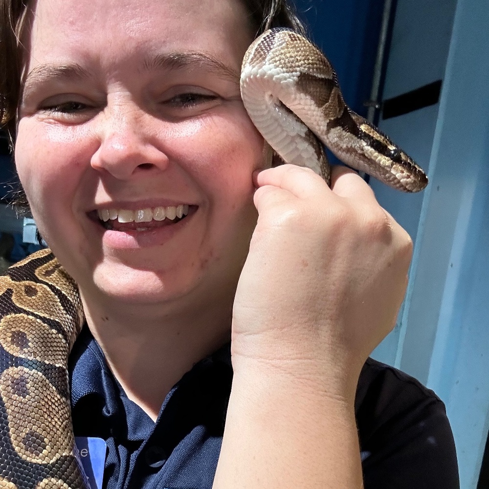 Meet your Posher, Kylee